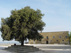 Monasterio de Monlora